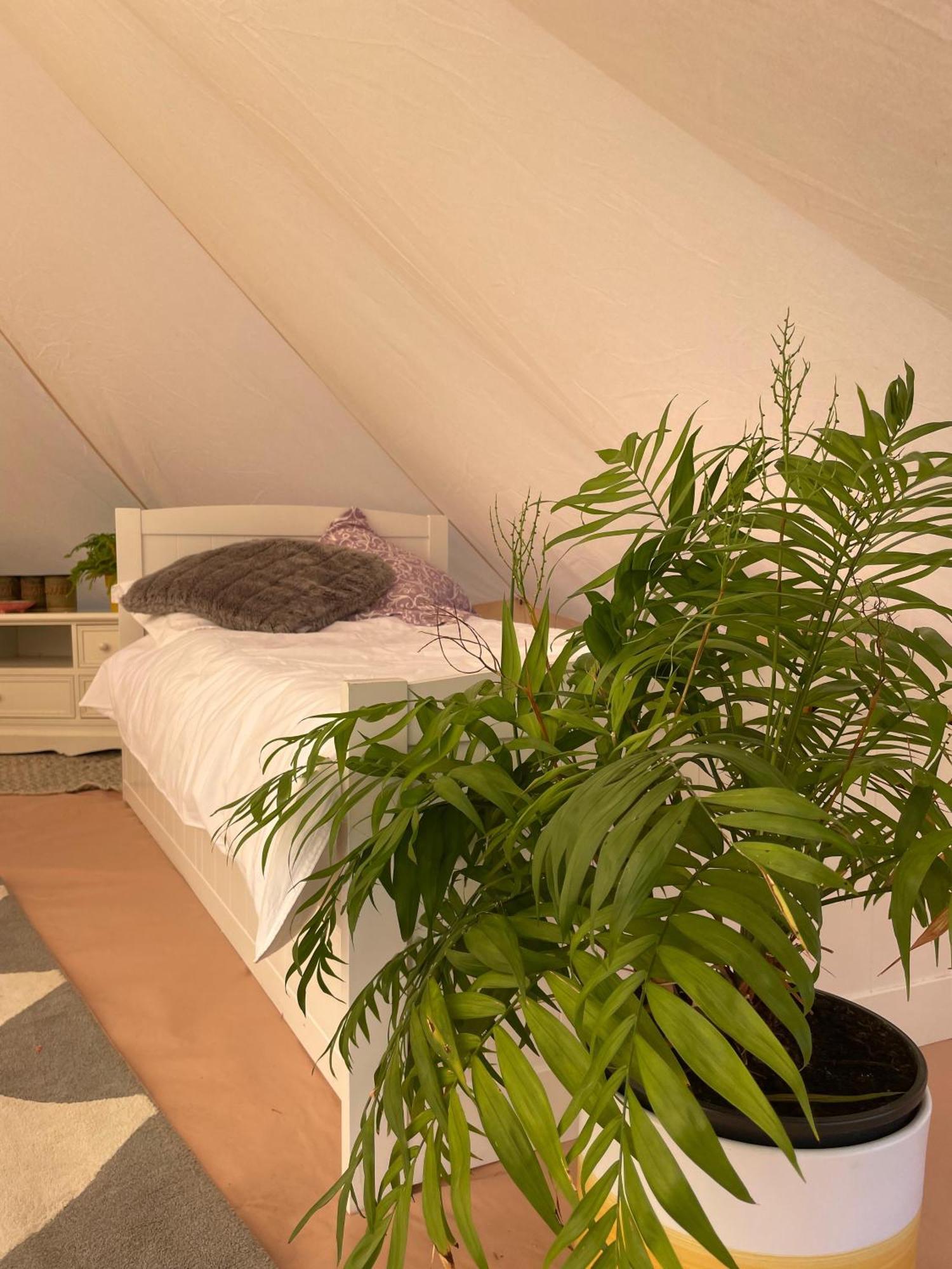 Trevena Cross Glamping & Camping Helston Eksteriør bilde