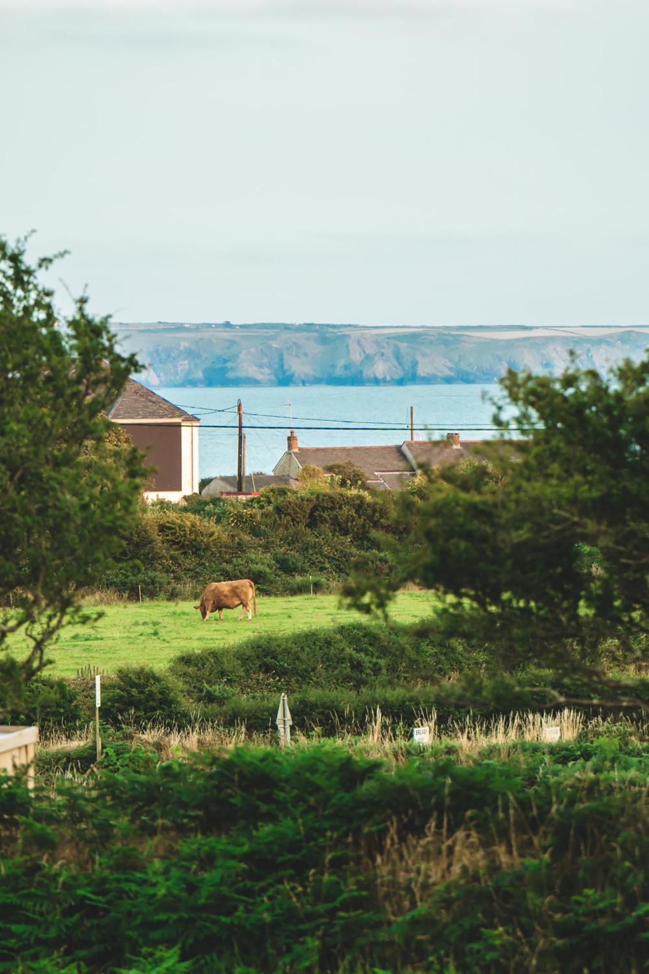 Trevena Cross Glamping & Camping Helston Eksteriør bilde