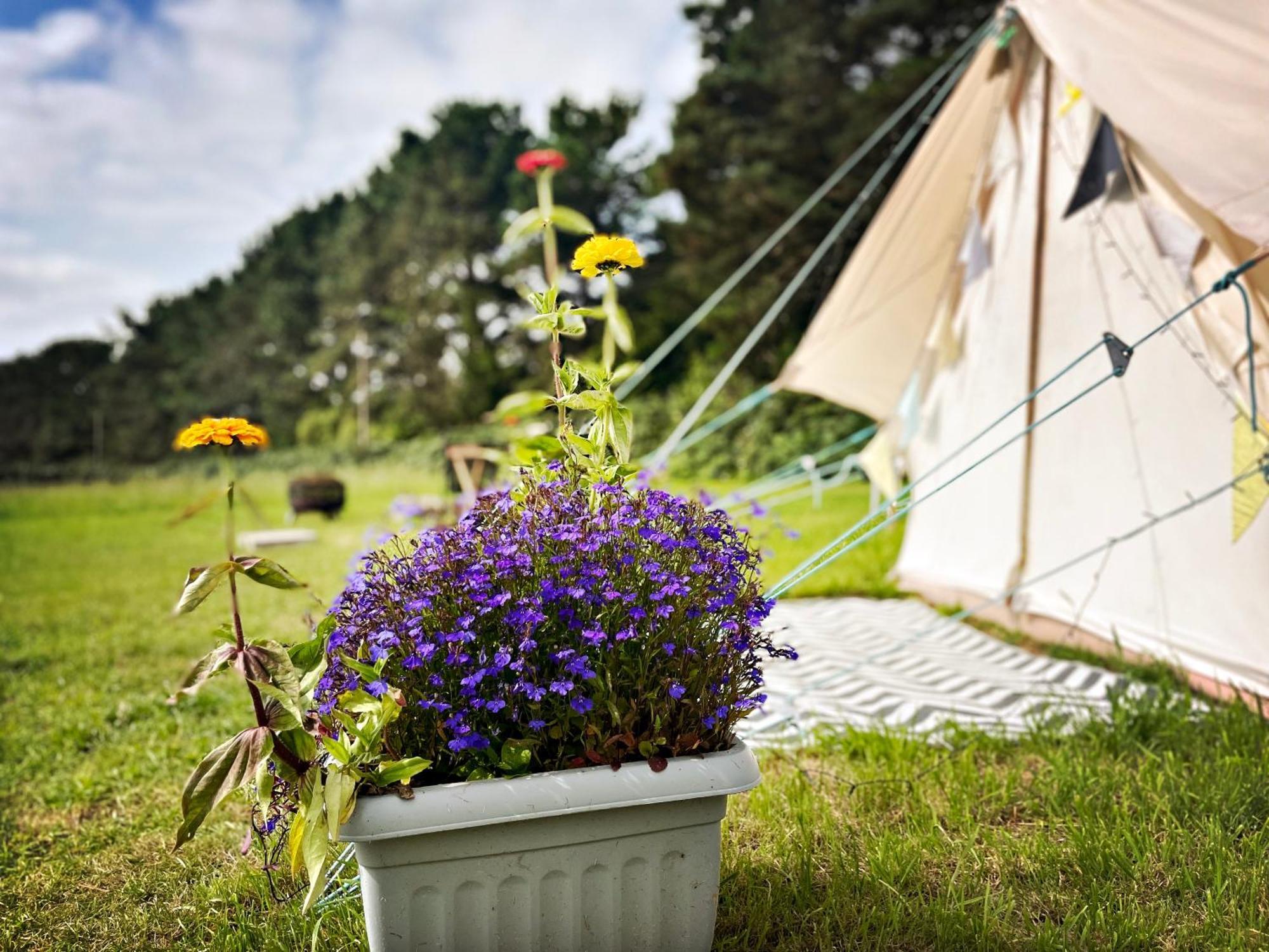 Trevena Cross Glamping & Camping Helston Eksteriør bilde